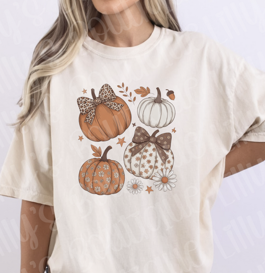 Fall Pumpkins (Ivory)