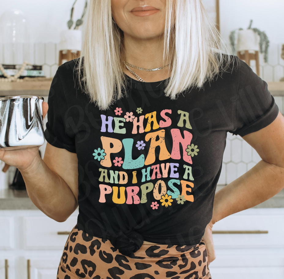 God has a plan tee