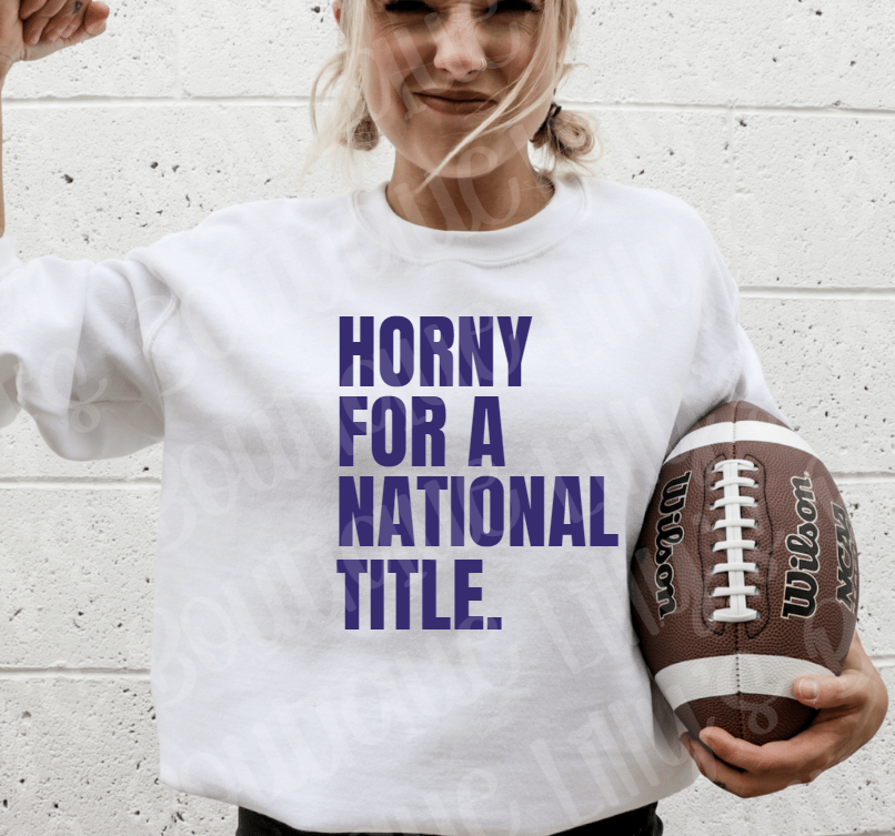 horny for a national title sweatshirt